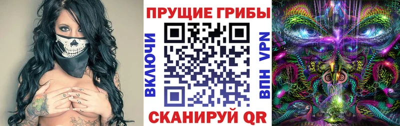 Галлюциногенные грибы Psilocybe  даркнет сайт  Островной 